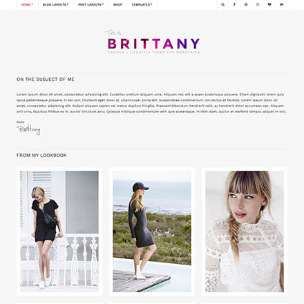 CSSIgniter Brittany