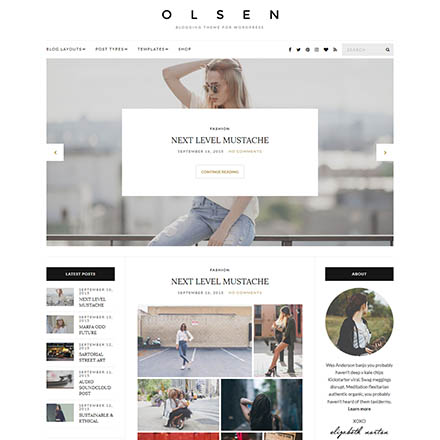 CSSIgniter Olsen