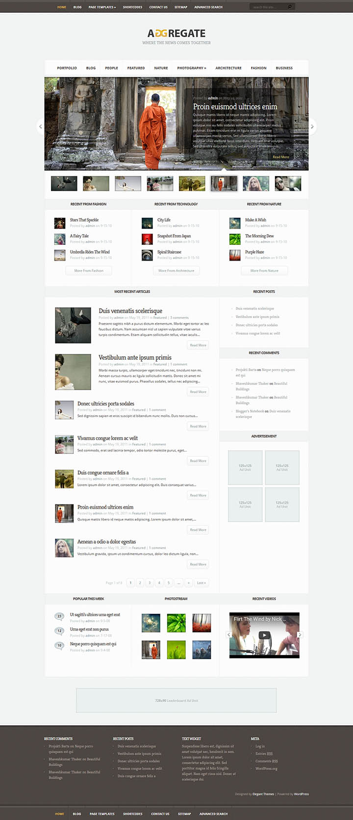 WordPress шаблон ElegantThemes Aggregate