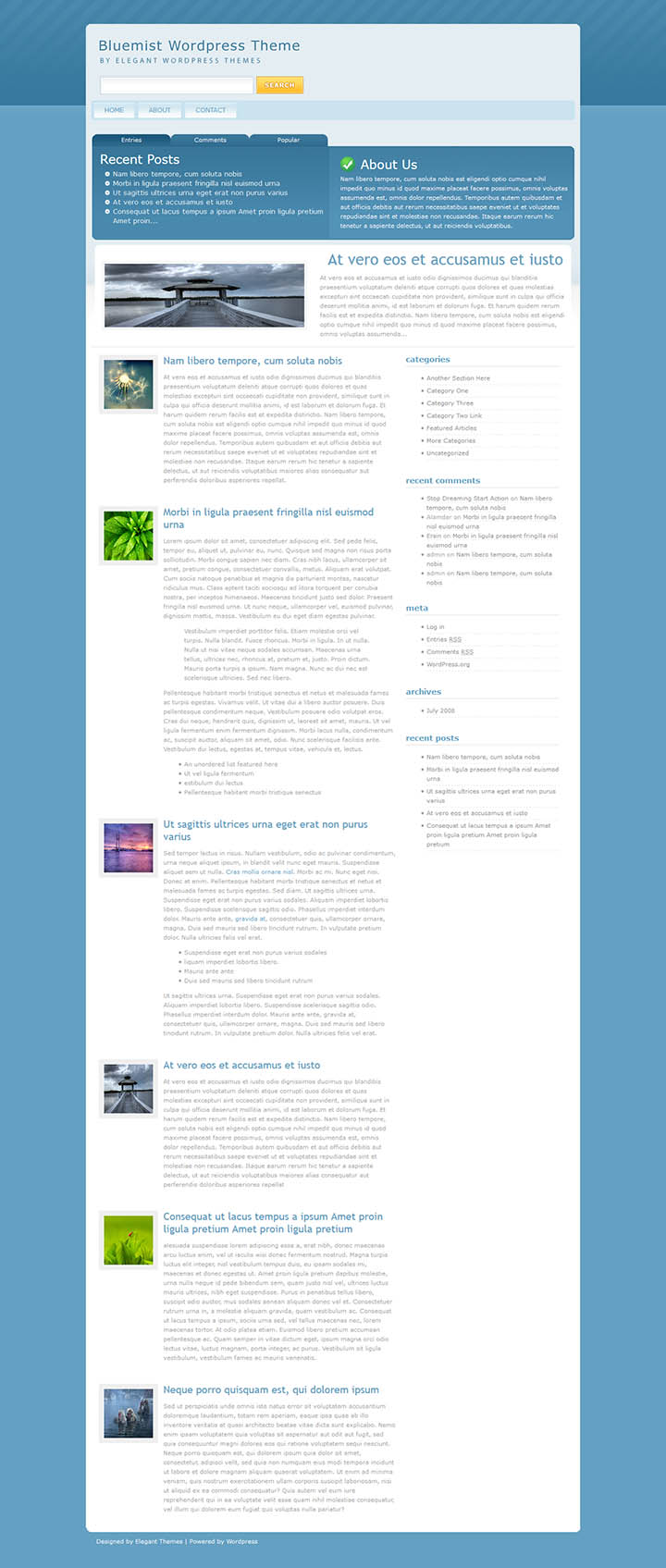 WordPress шаблон ElegantThemes BlueMist