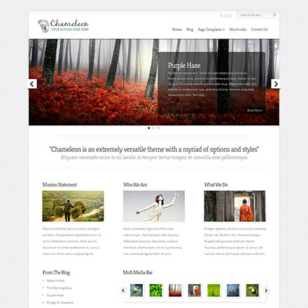 ElegantThemes Chameleon