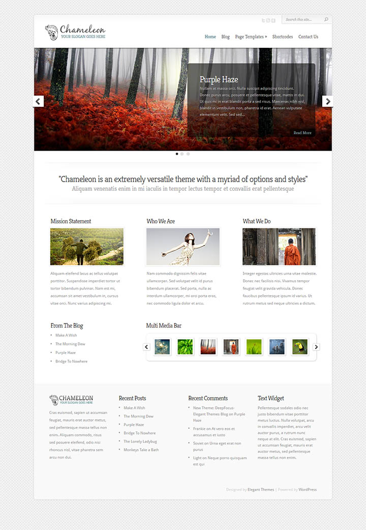 WordPress шаблон ElegantThemes Chameleon