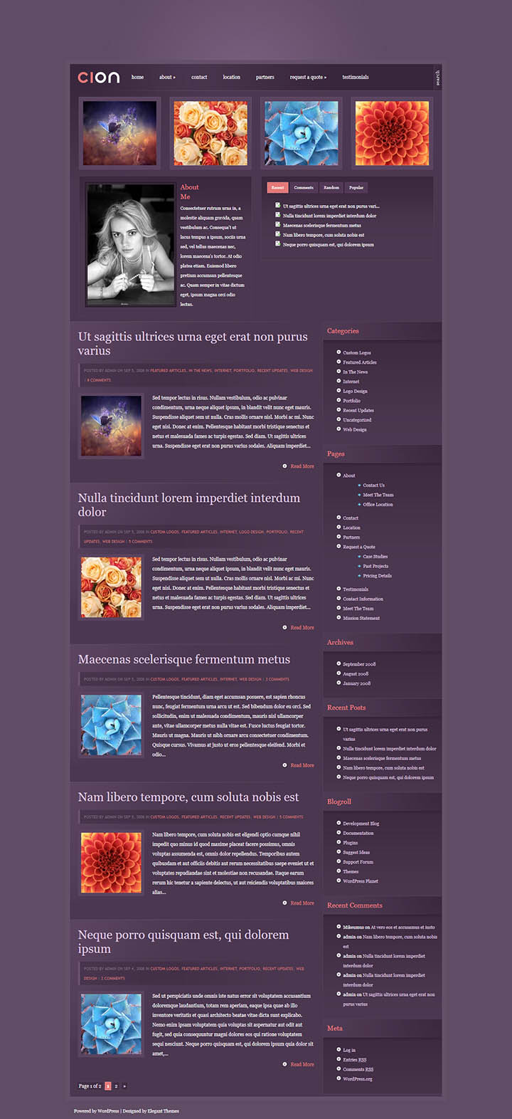 WordPress шаблон ElegantThemes Cion