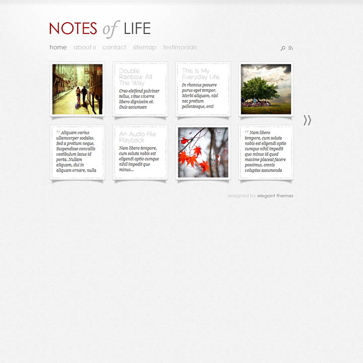 WordPress шаблон ElegantThemes DailyNotes