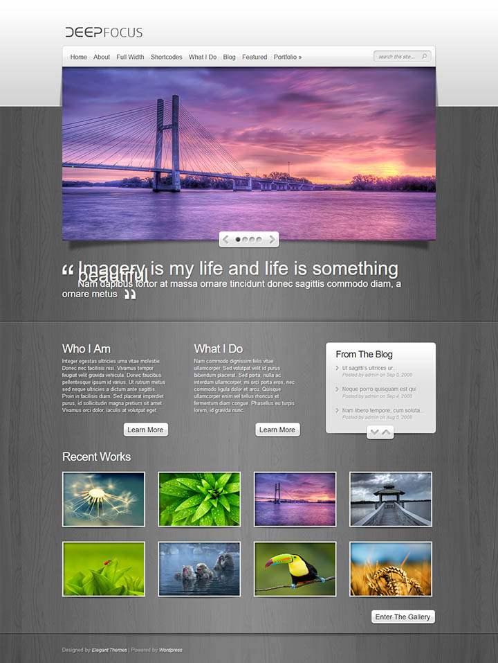 WordPress шаблон ElegantThemes DeepFocus