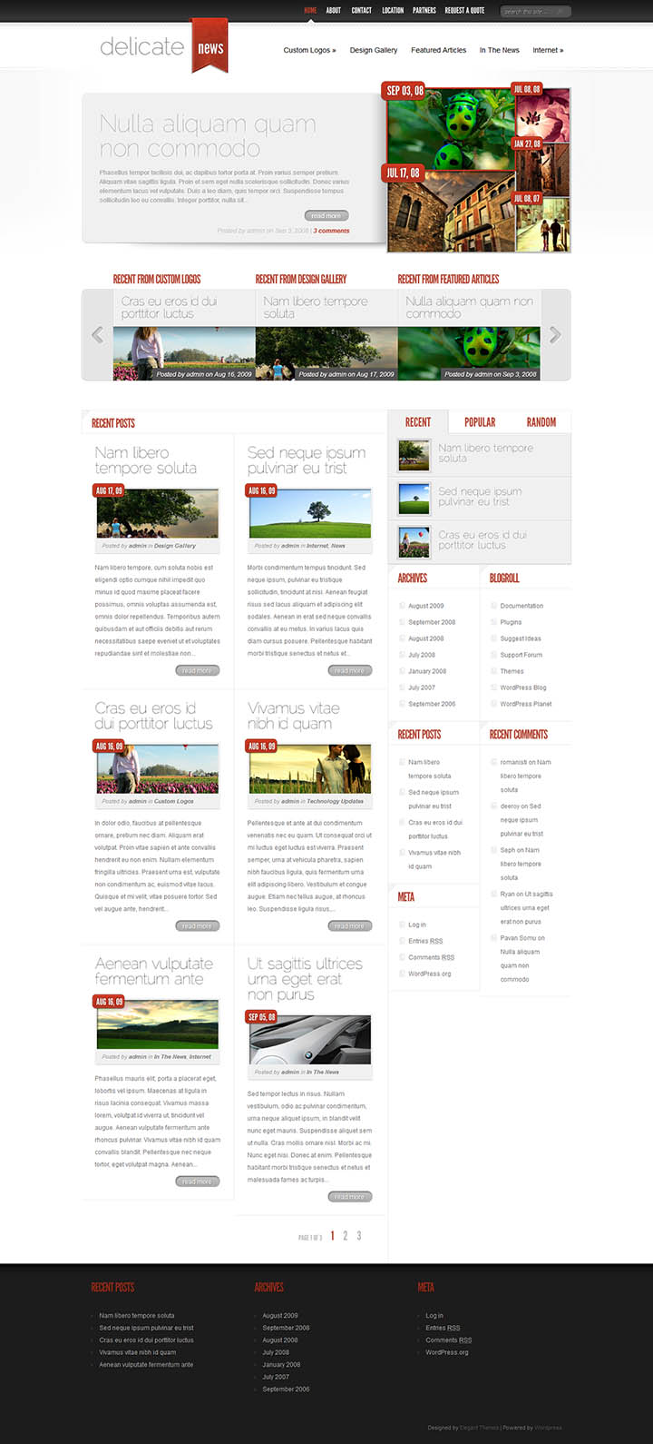 WordPress шаблон ElegantThemes DelicateNews