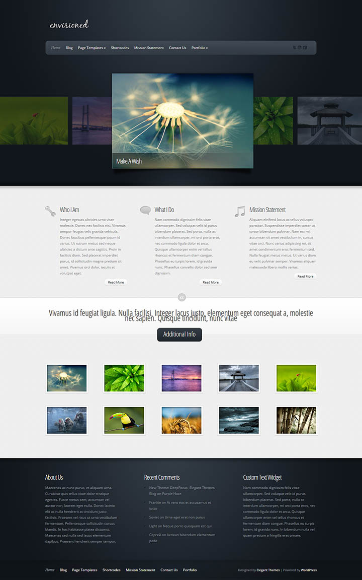 WordPress шаблон ElegantThemes Envisioned