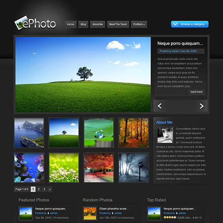 ElegantThemes ePhoto