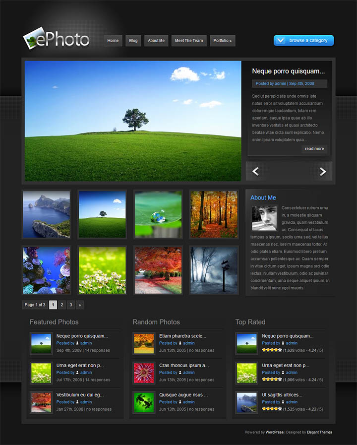 WordPress шаблон ElegantThemes ePhoto