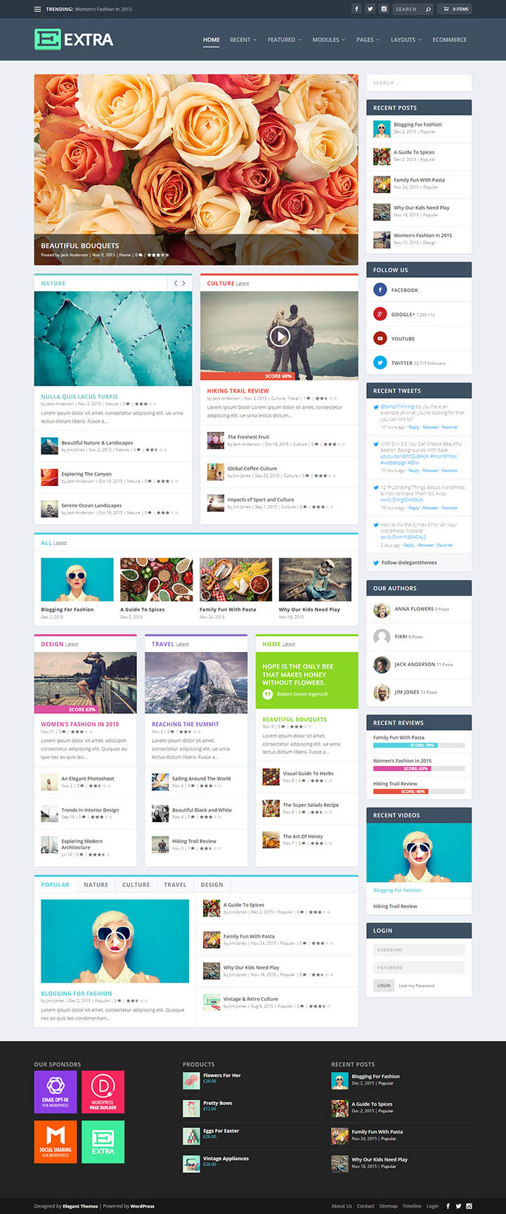 WordPress шаблон ElegantThemes Extra