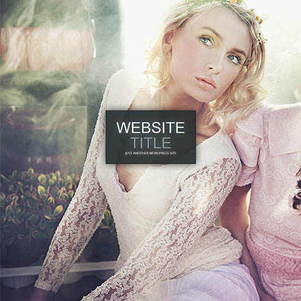 ElegantThemes Gleam