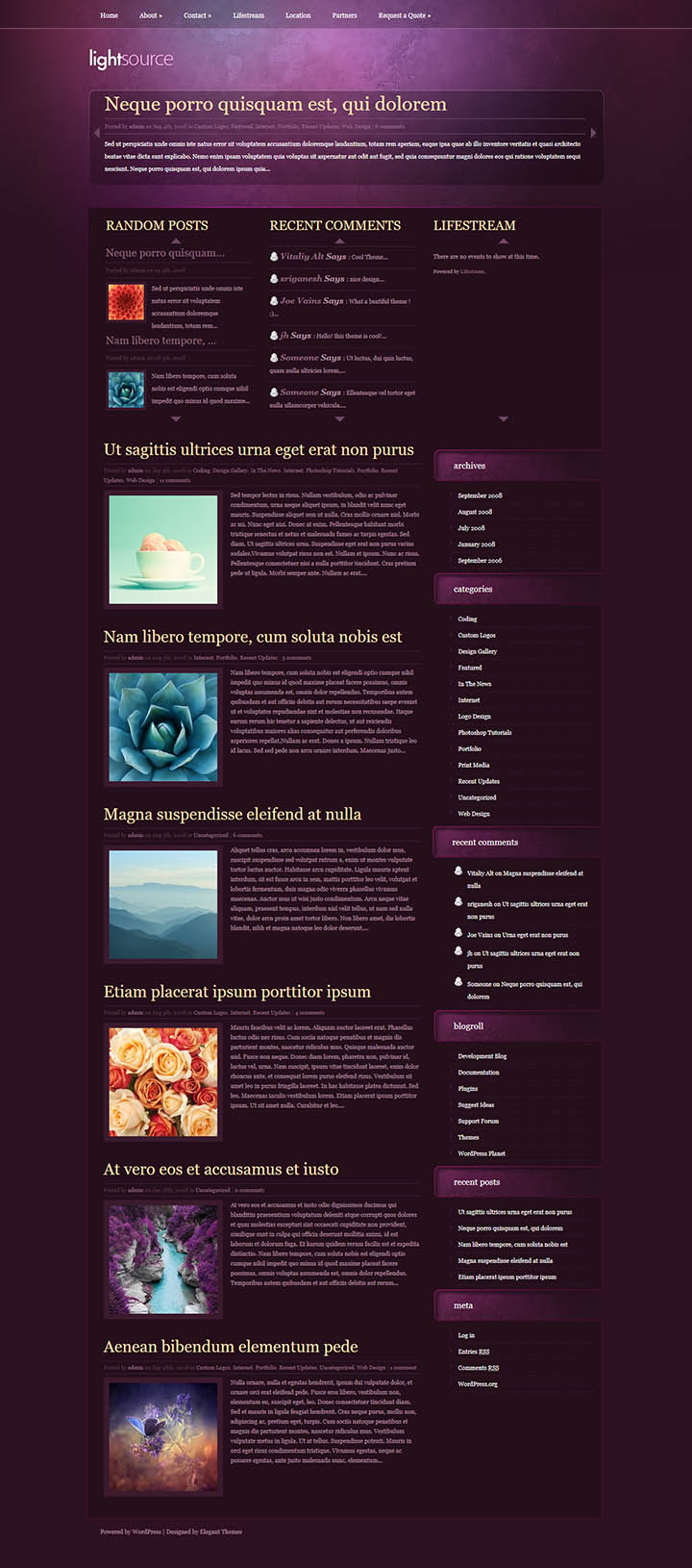 WordPress шаблон ElegantThemes LightSource