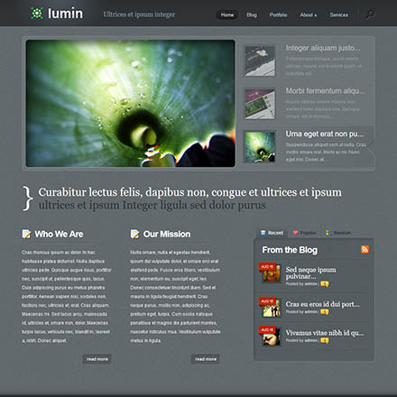 ElegantThemes Lumin