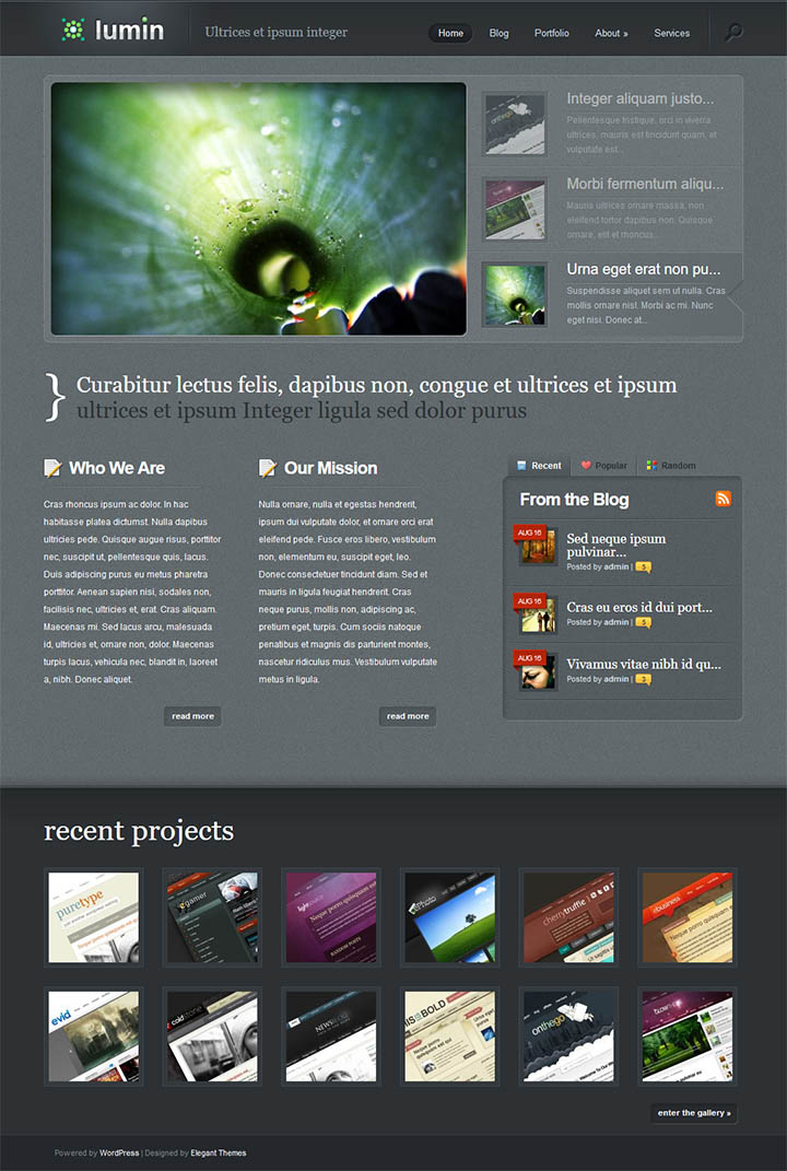 WordPress шаблон ElegantThemes Lumin