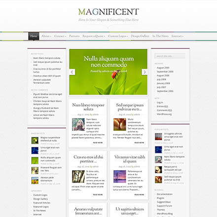 ElegantThemes Magnificent