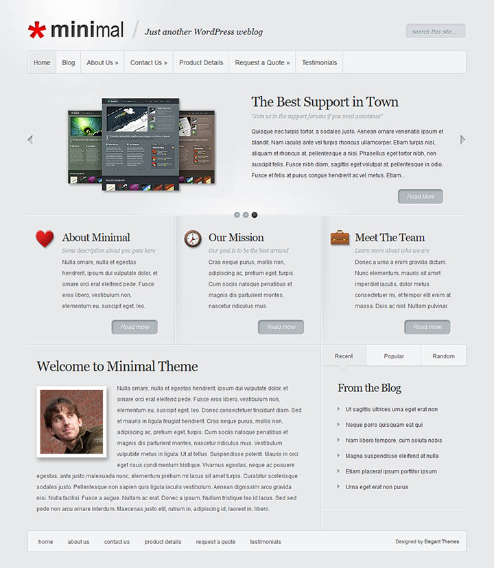 WordPress шаблон ElegantThemes Minimal