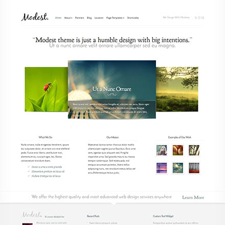 ElegantThemes Modest