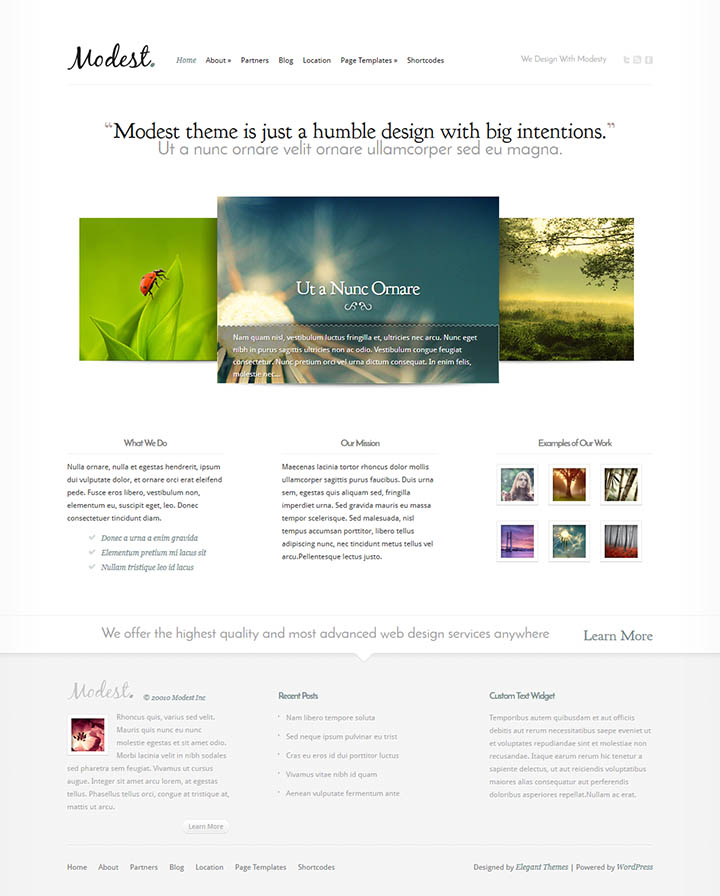 WordPress шаблон ElegantThemes Modest