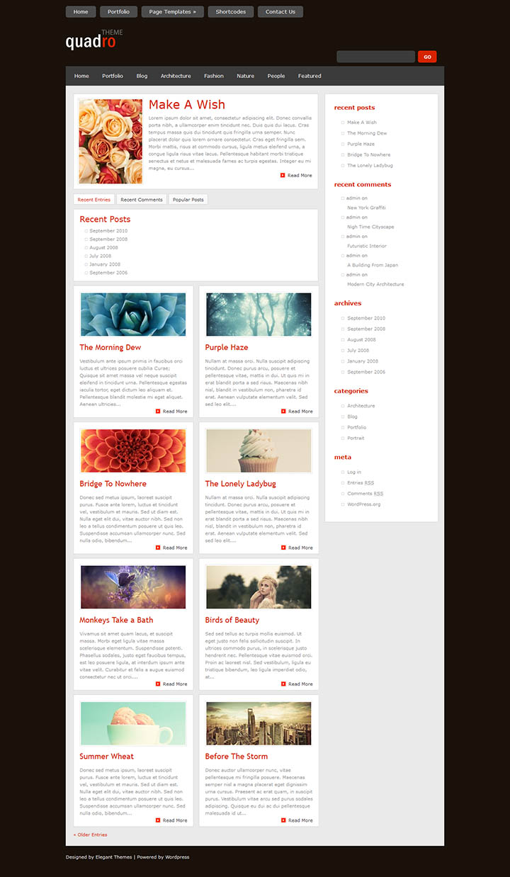 WordPress шаблон ElegantThemes Quadro