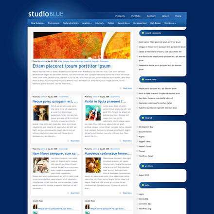 ElegantThemes StudioBlue