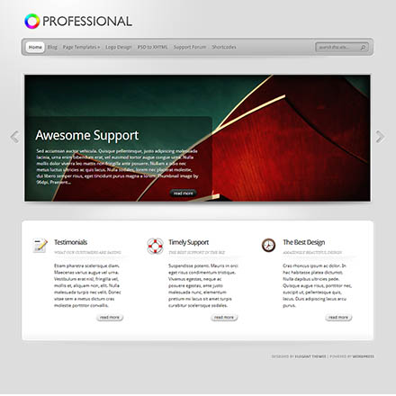 ElegantThemes TheProfessional