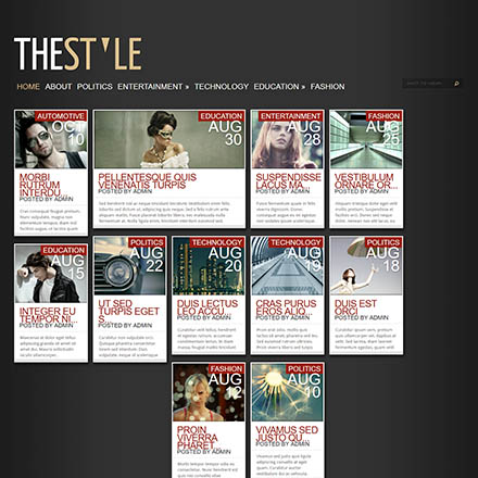 ElegantThemes TheStyle