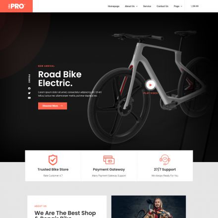 ThemeForest BikePro