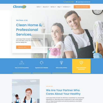 ThemeForest Cleansee