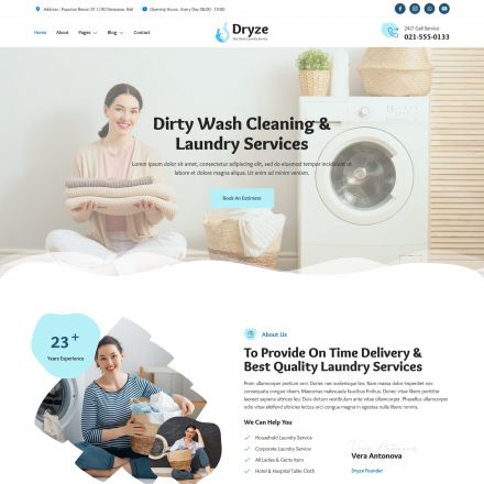 ThemeForest Dryze