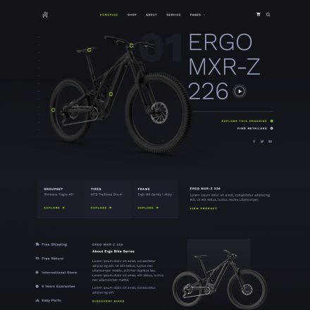 ThemeForest ERGO