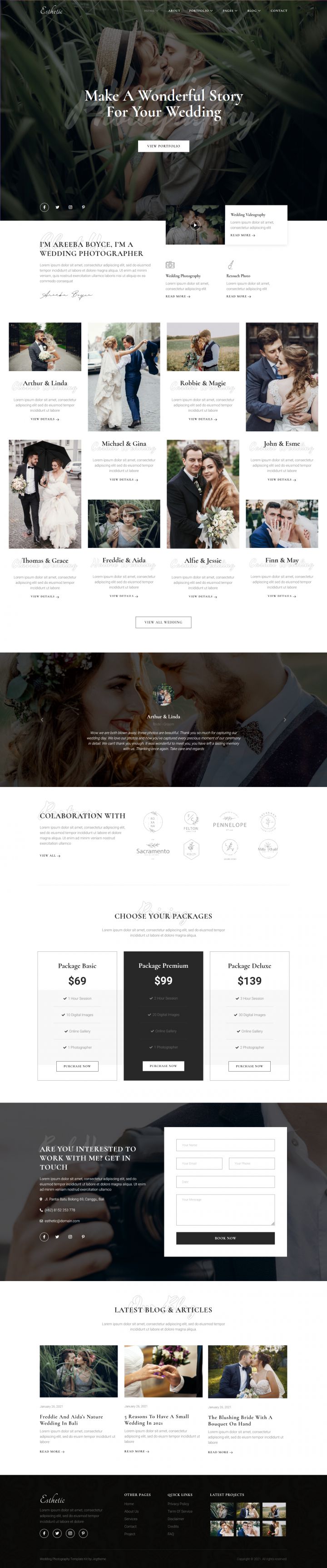 WordPress шаблон ThemeForest Esthetic