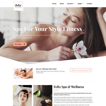 ThemeForest Felix