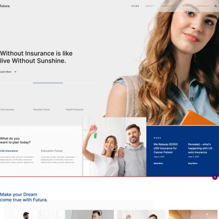 ThemeForest Futura