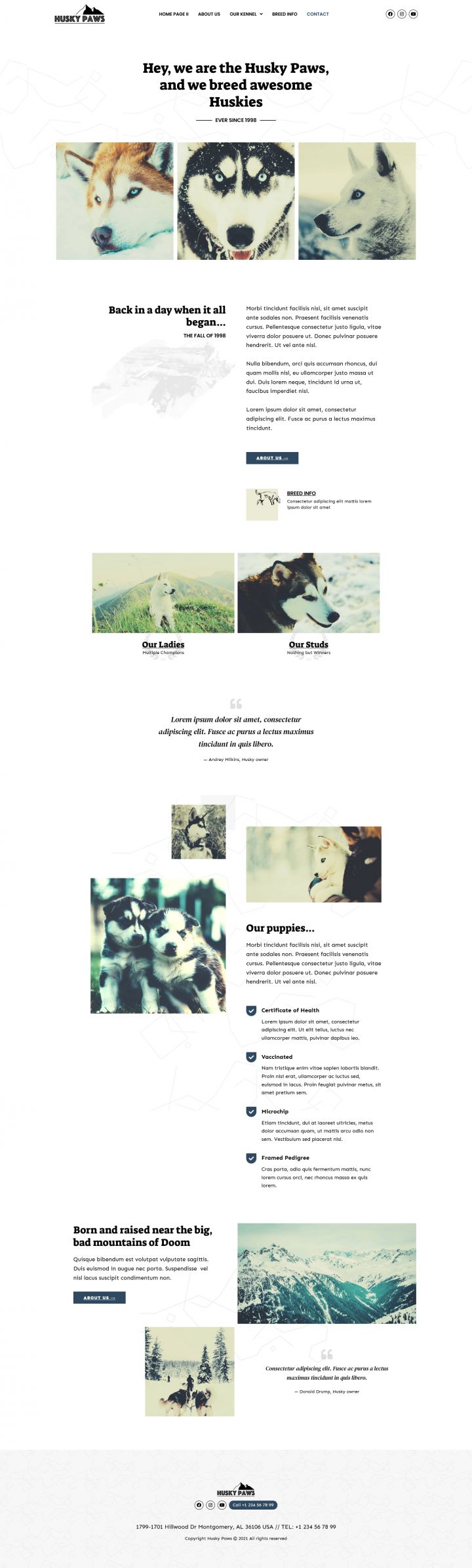 WordPress шаблон ThemeForest HuskyPaws