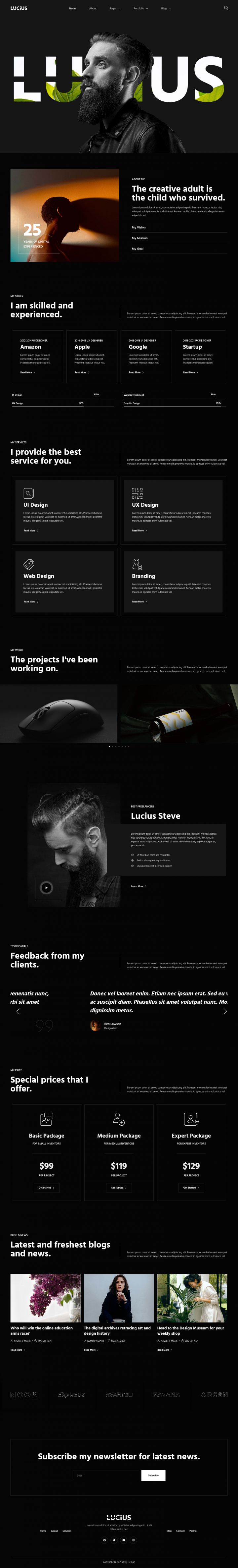 WordPress шаблон ThemeForest Lucius