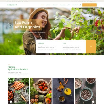ThemeForest Organica