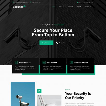 ThemeForest Securize