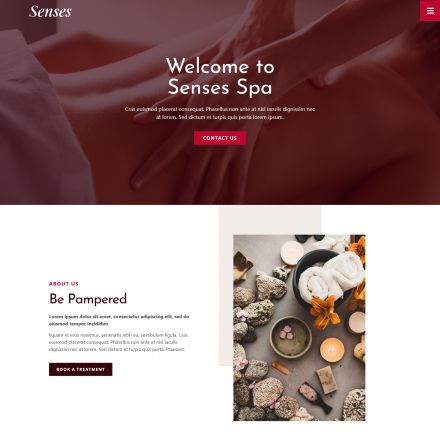 ThemeForest Senses