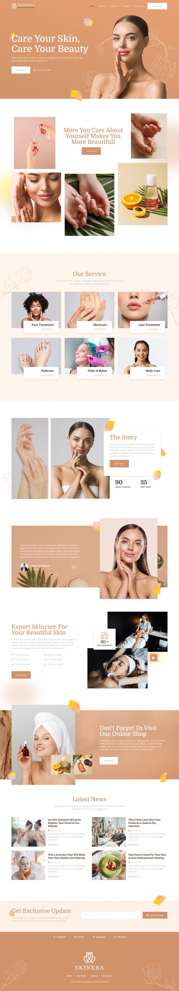 WordPress шаблон ThemeForest Skinera