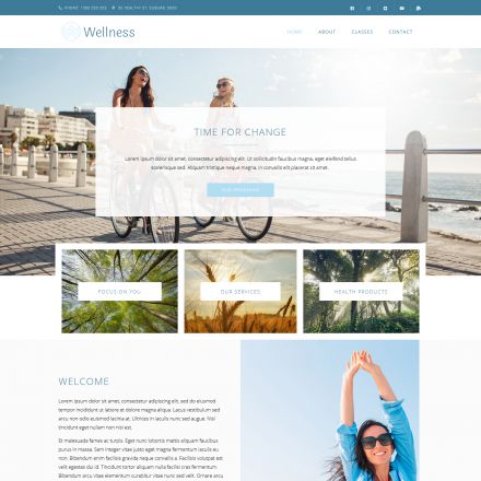 ThemeForest Wellness