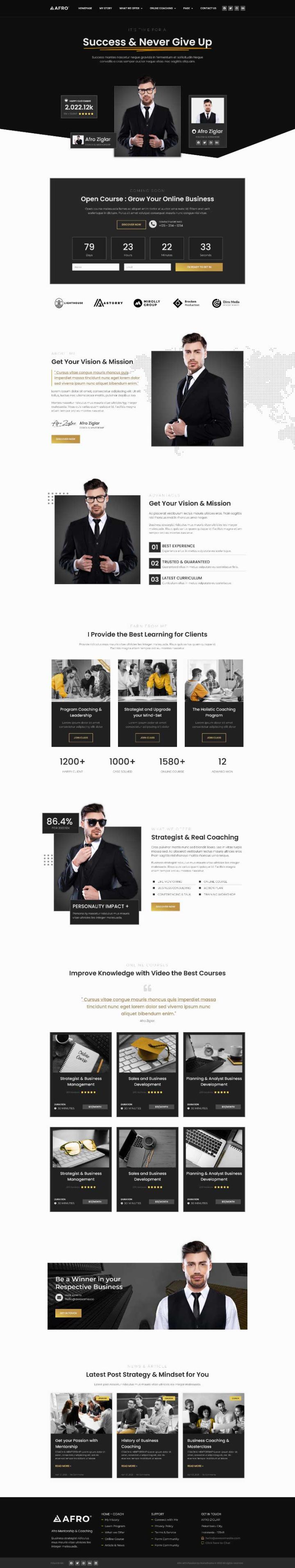 WordPress шаблон ThemeForest AFRO