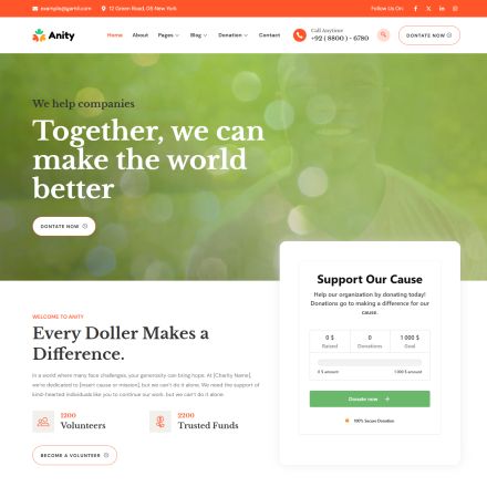 ThemeForest Anity