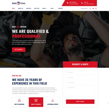 ThemeForest AutoTrics