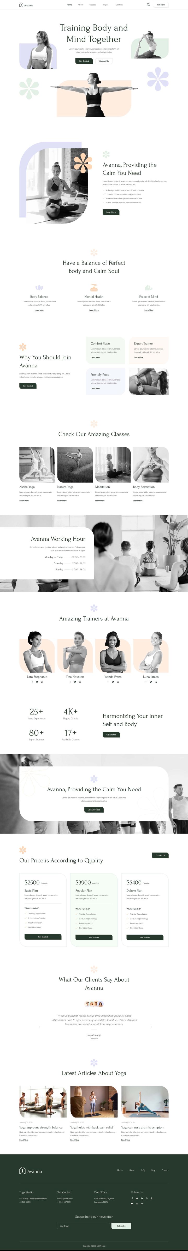 WordPress шаблон ThemeForest Avanna