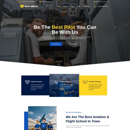 ThemeForest Aviacademy