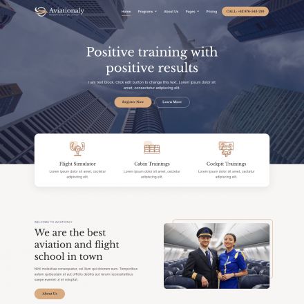 ThemeForest Aviationaly