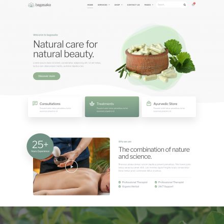 ThemeForest Bagasaka