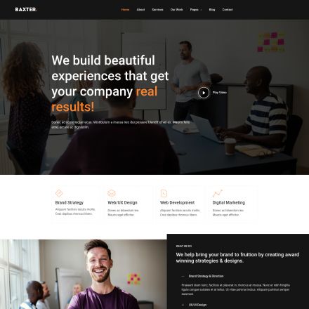 ThemeForest Baxter