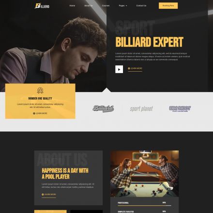 ThemeForest Billierd