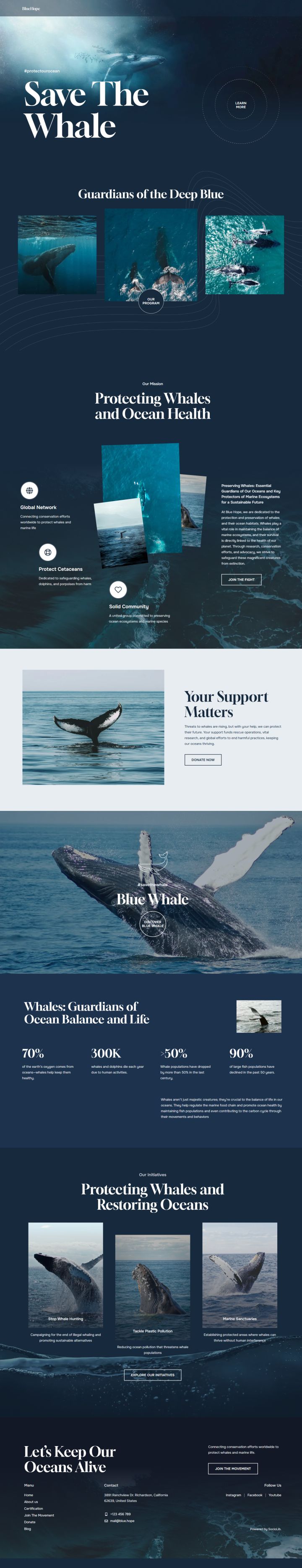 WordPress шаблон ThemeForest BlueHope